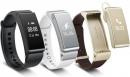 841300 Huawei TalkBand B